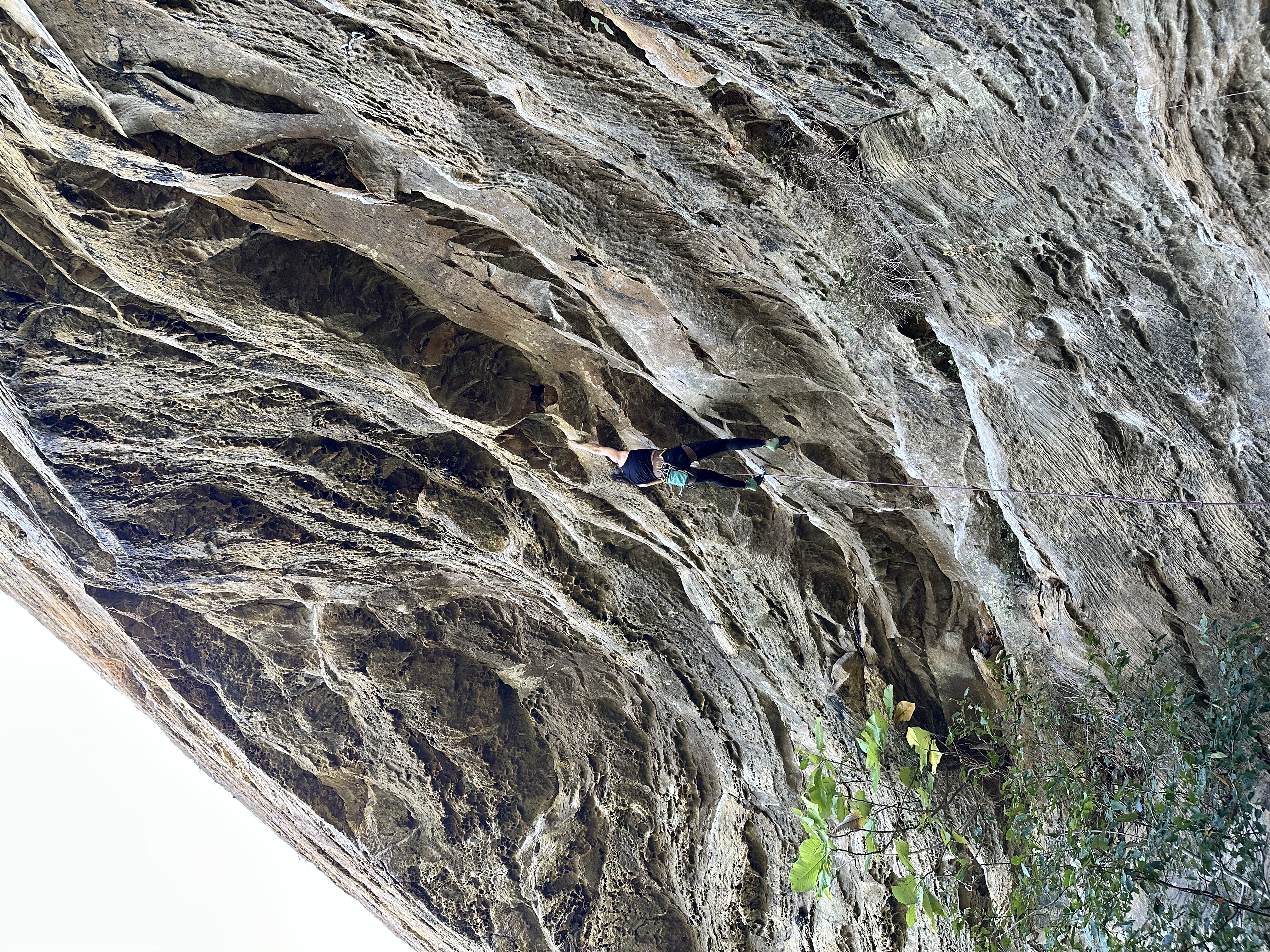 Maya Kumits sport climbing Super Best Friends at Solarium in Muir Valley, Red River Gorge, Kentucky